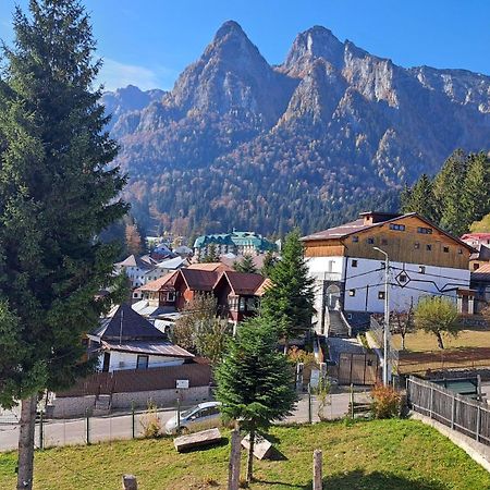 Vila Panoramic Buşteni Екстериор снимка