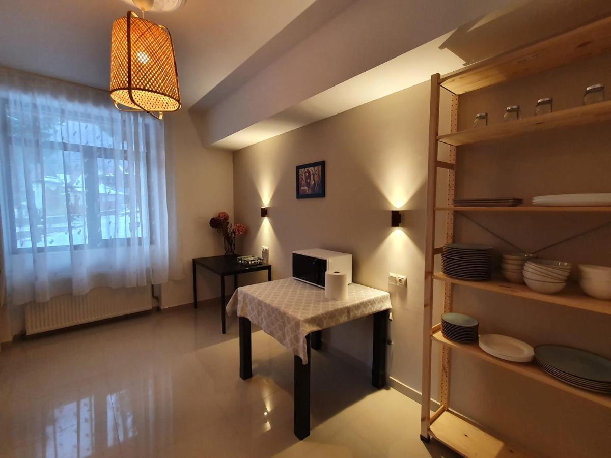 Vila Panoramic Buşteni Екстериор снимка