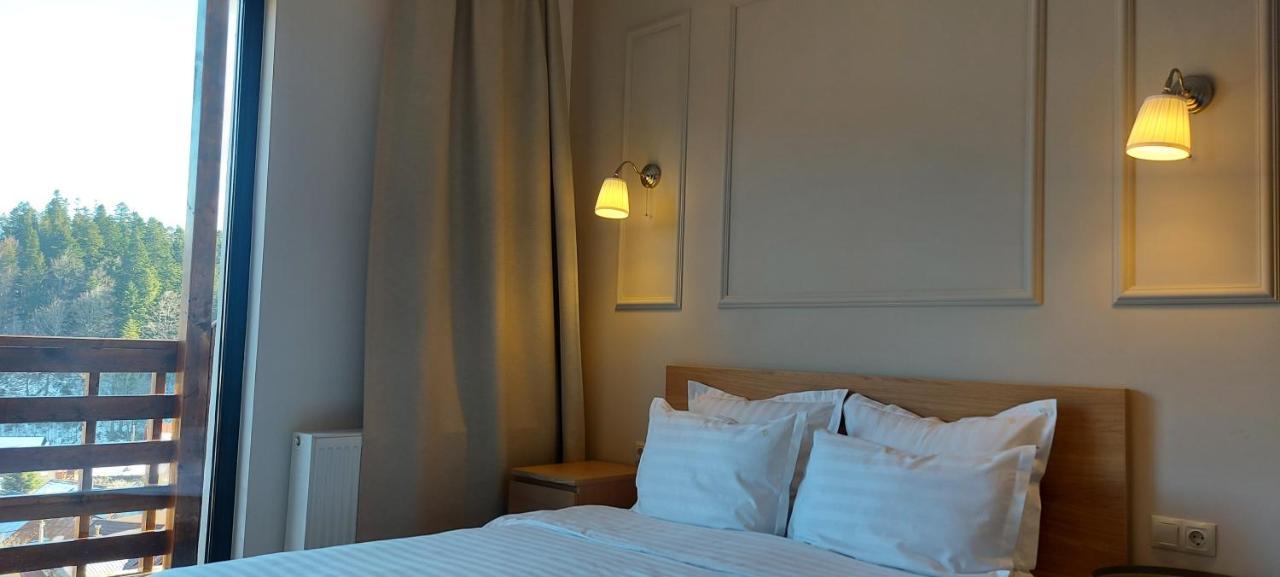 Vila Panoramic Buşteni Екстериор снимка