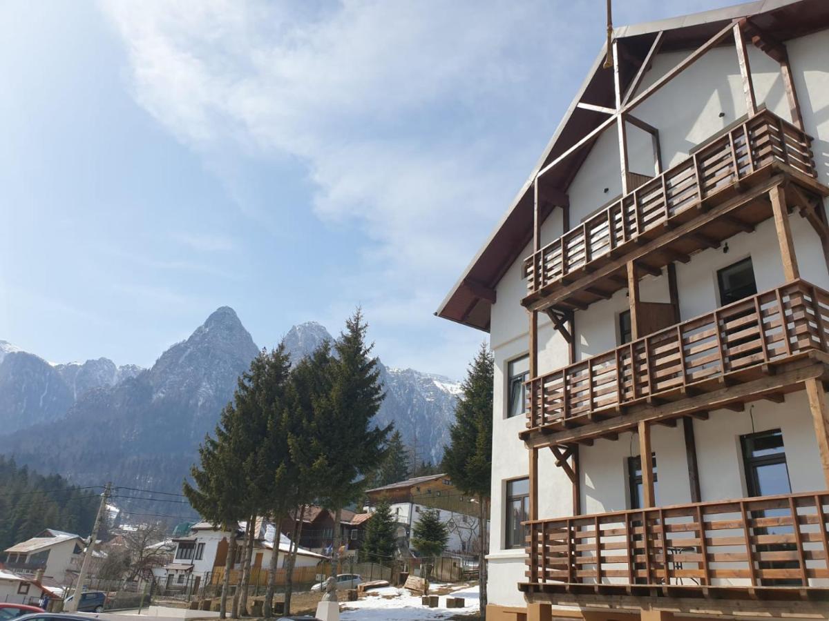Vila Panoramic Buşteni Екстериор снимка