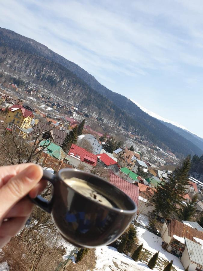 Vila Panoramic Buşteni Екстериор снимка