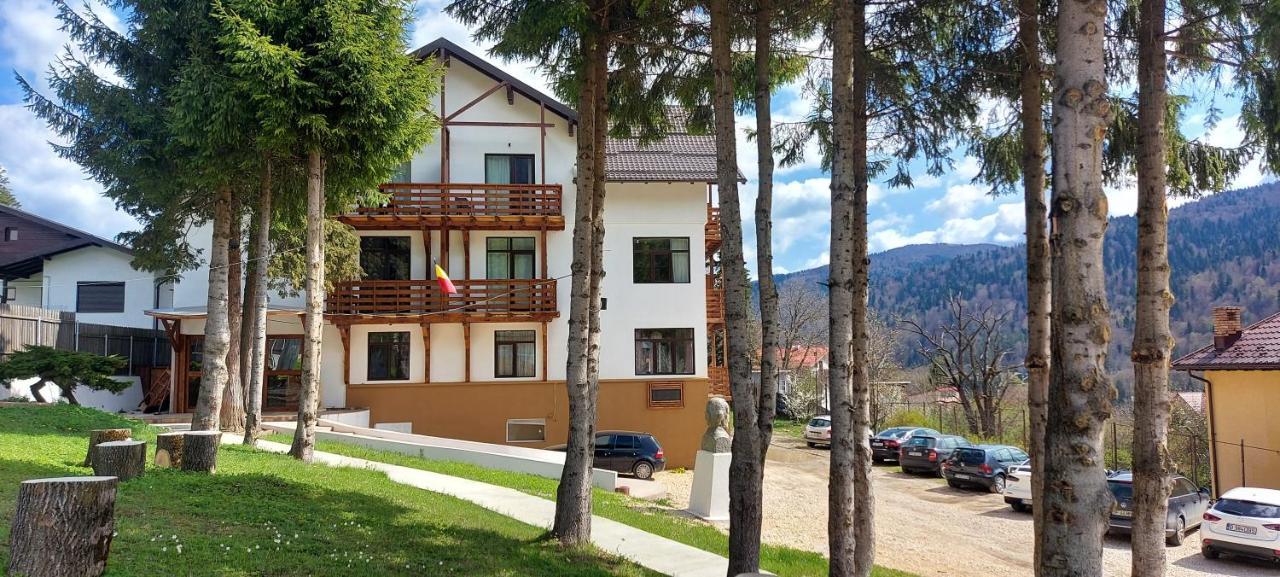 Vila Panoramic Buşteni Екстериор снимка