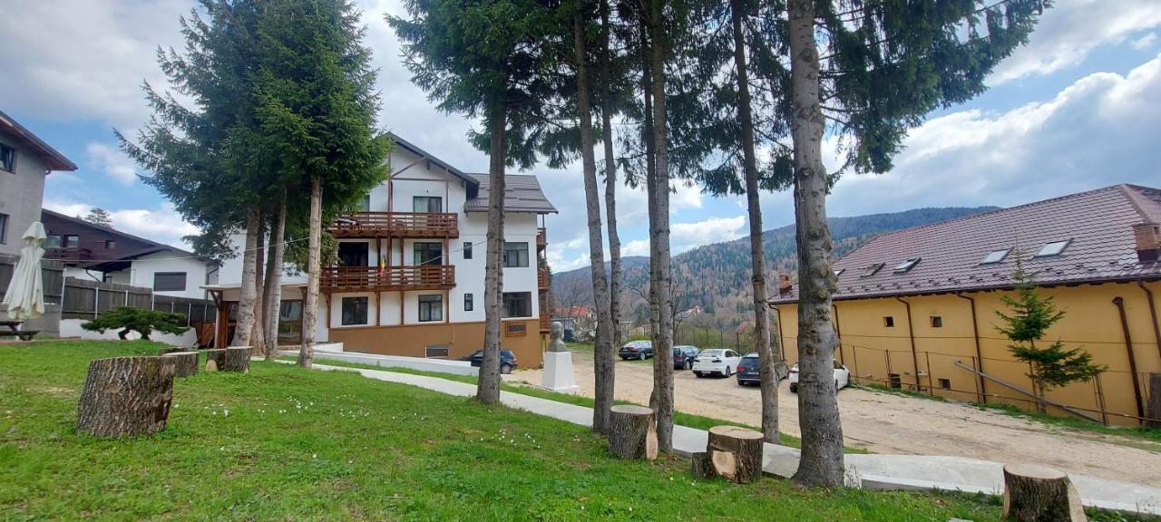 Vila Panoramic Buşteni Екстериор снимка