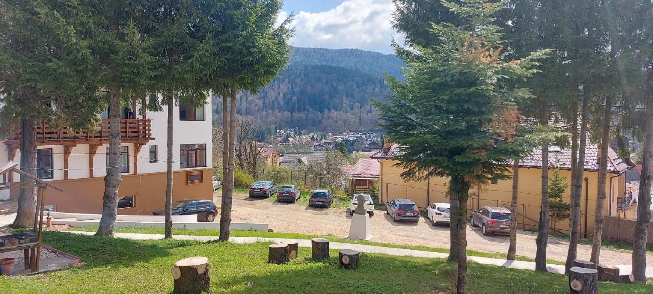 Vila Panoramic Buşteni Екстериор снимка