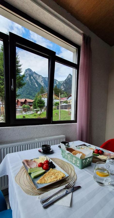 Vila Panoramic Buşteni Екстериор снимка
