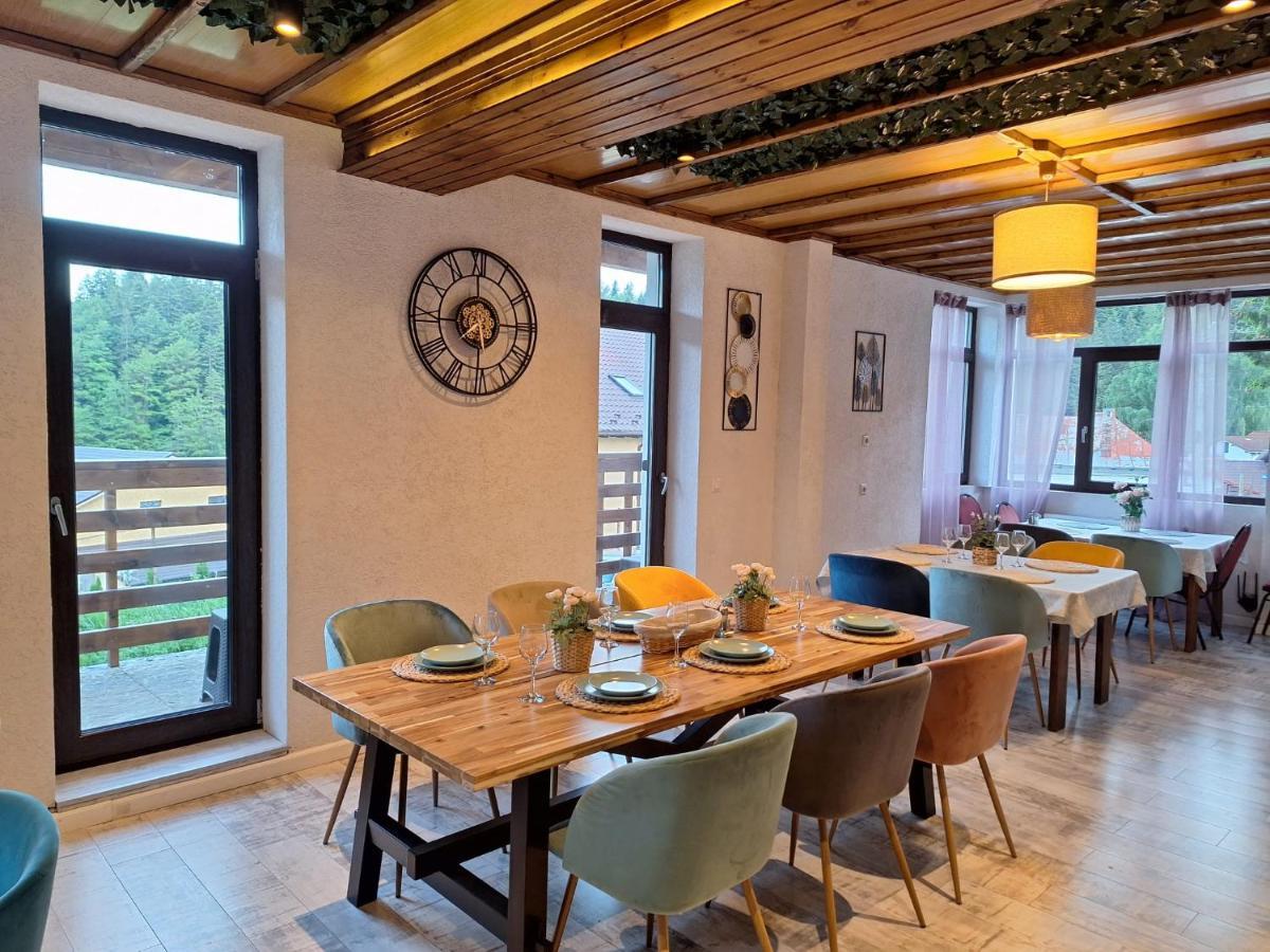 Vila Panoramic Buşteni Екстериор снимка