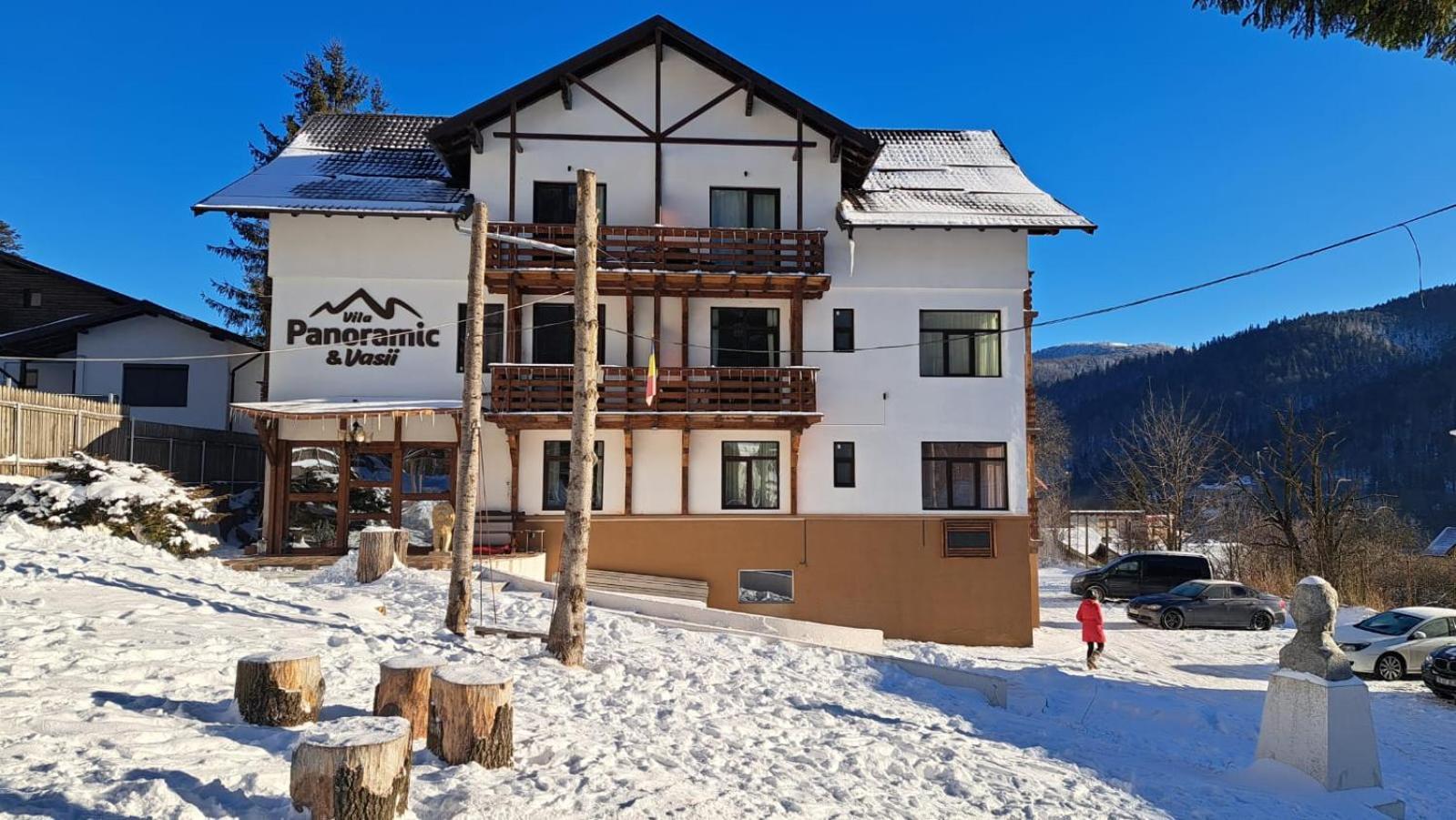 Vila Panoramic Buşteni Екстериор снимка