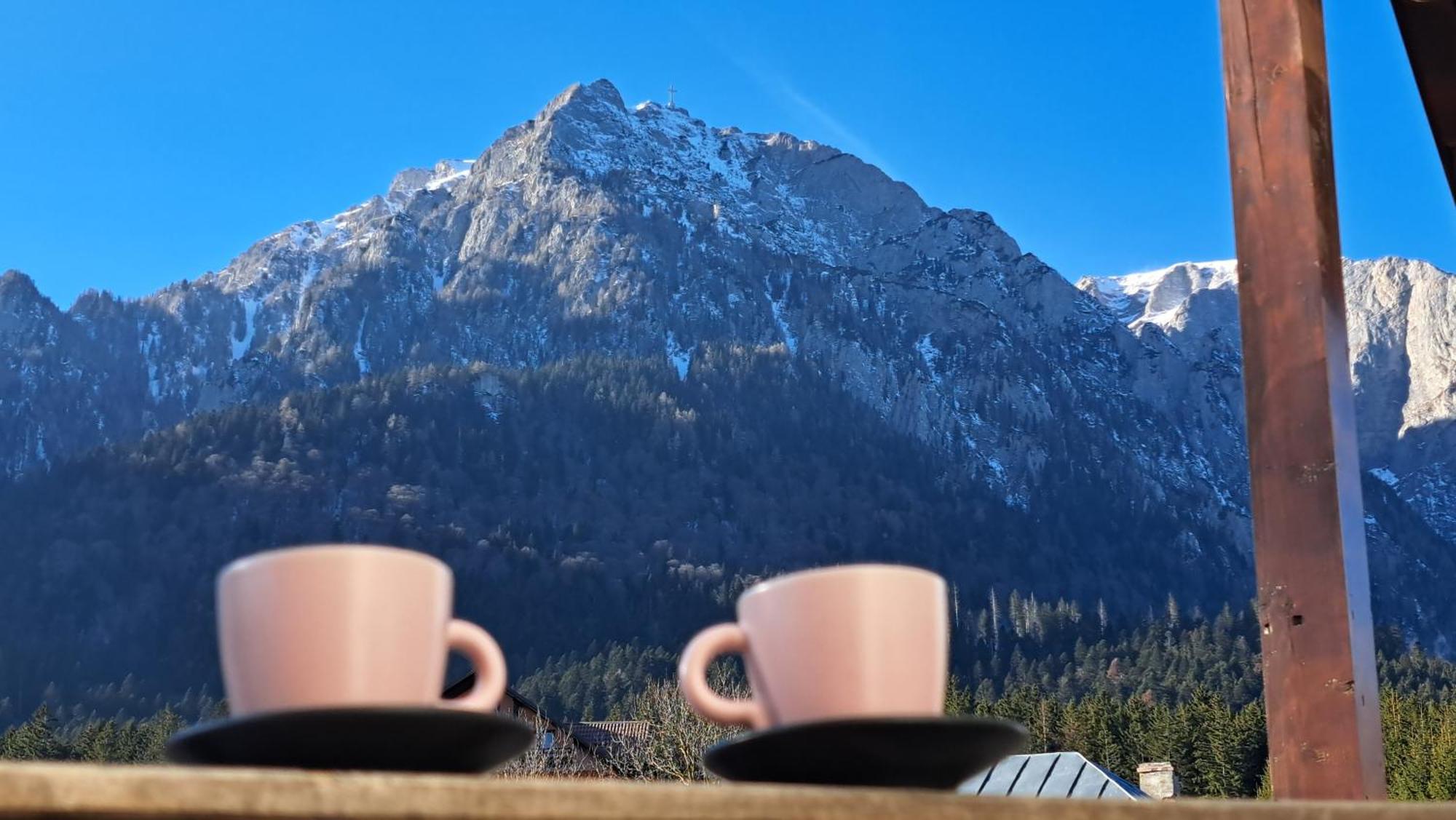 Vila Panoramic Buşteni Екстериор снимка