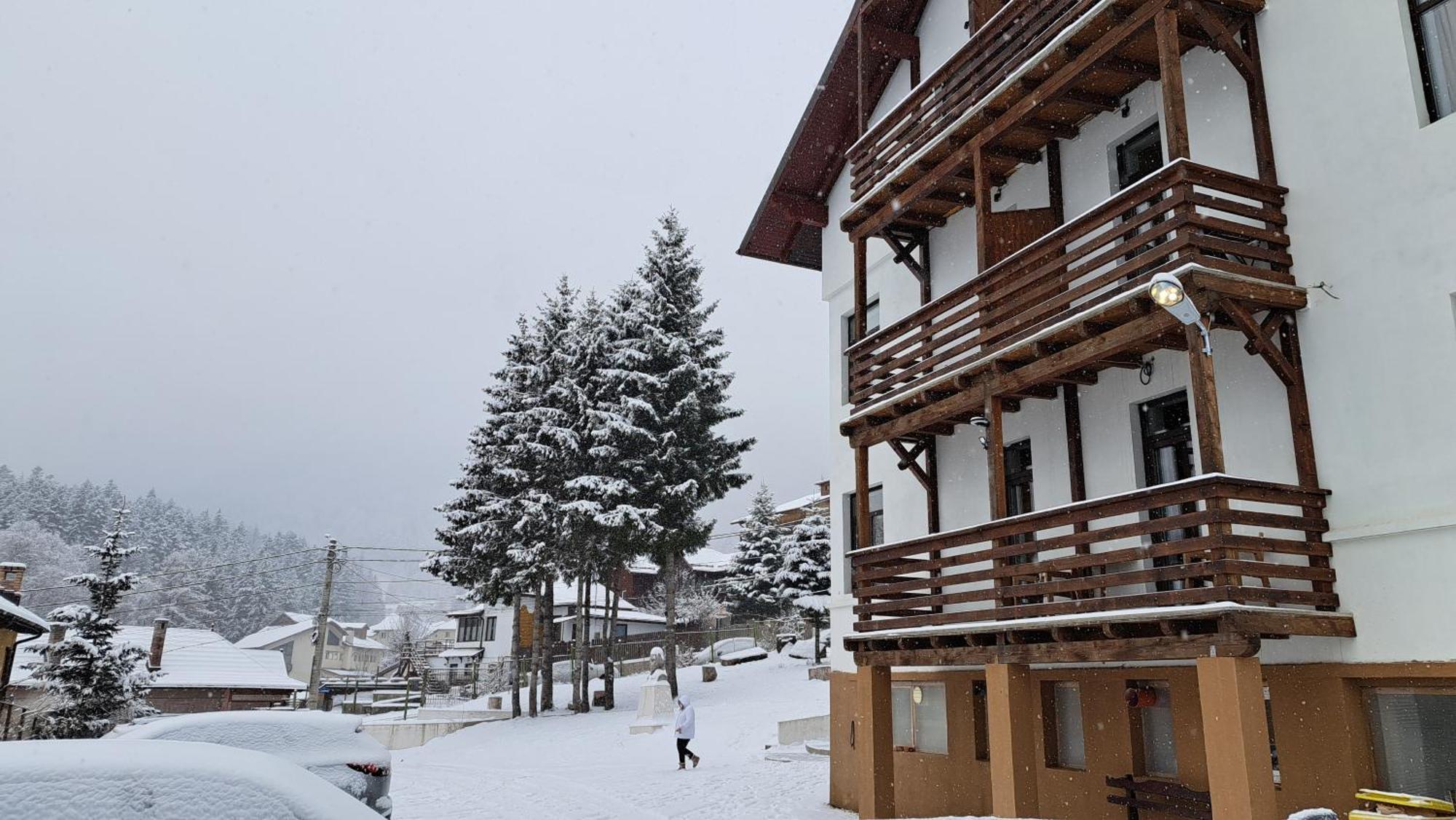 Vila Panoramic Buşteni Екстериор снимка